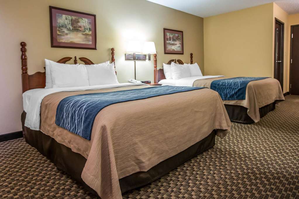 Quality Inn & Suites Mendota Near I-39 Zimmer foto