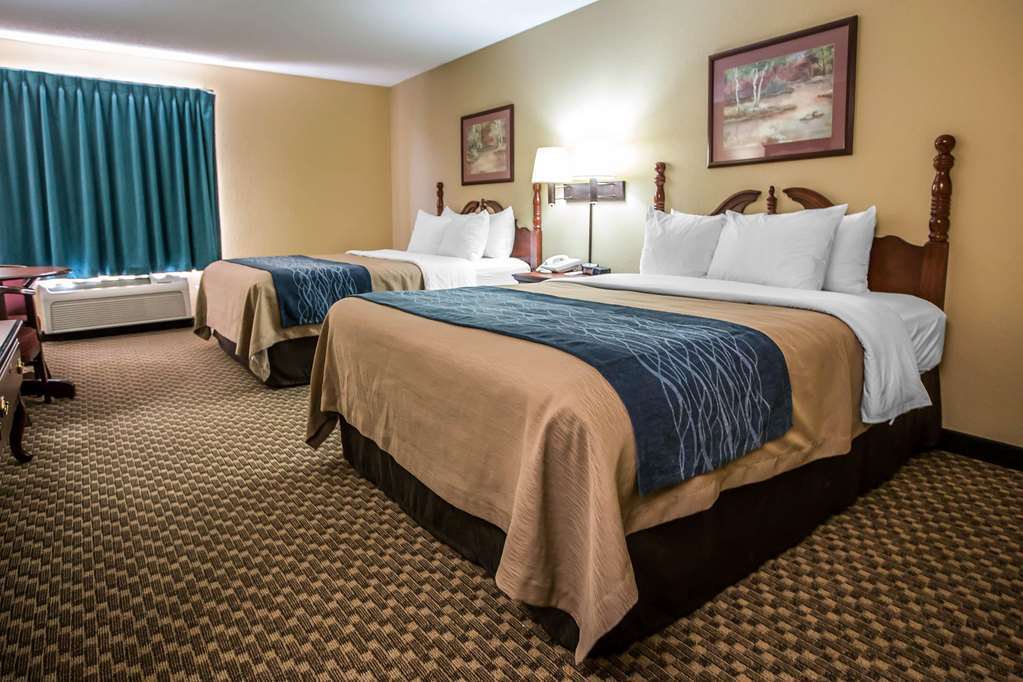Quality Inn & Suites Mendota Near I-39 Zimmer foto
