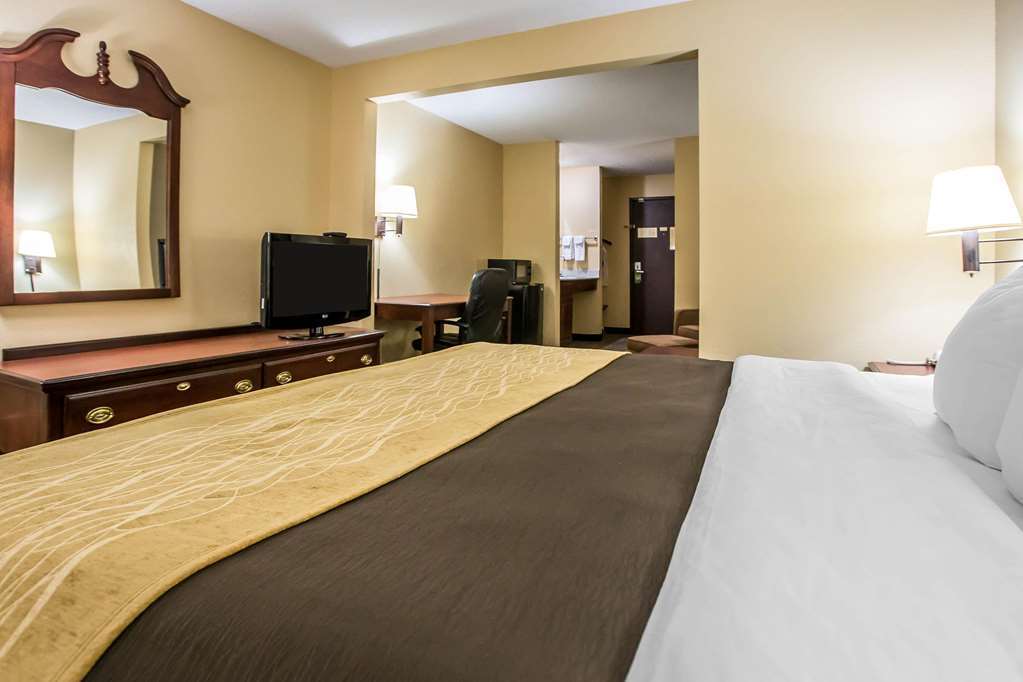 Quality Inn & Suites Mendota Near I-39 Zimmer foto